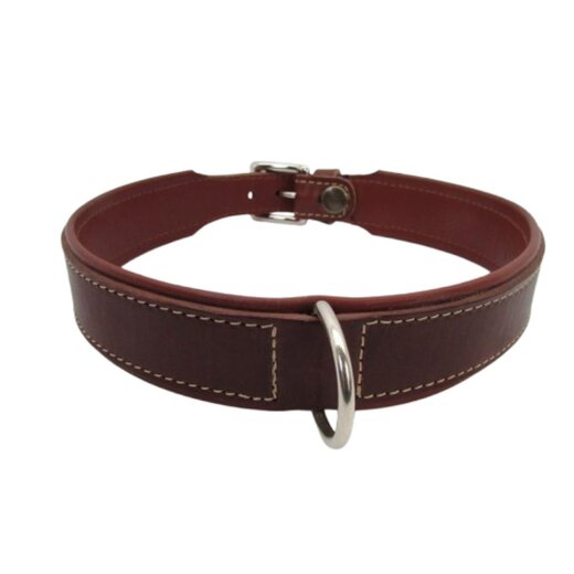 Hundehalsband ohne Besatz
