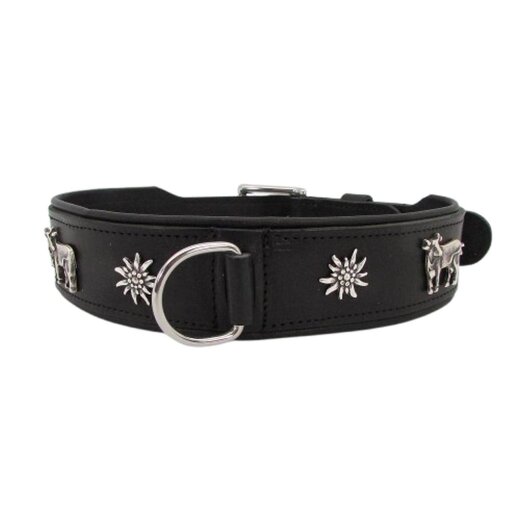 Kuh und Edelweiss Hundehalsband  5 cm breit