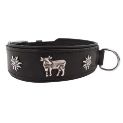 Kuh und Edelweiss Hundehalsband  5 cm breit