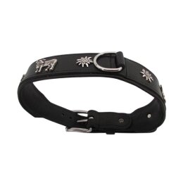 Kuh und Edelweiss Hundehalsband  5 cm breit