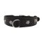 Kuh und Edelweiss Hundehalsband  5 cm breit