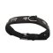 Kuh und Edelweiss Hundehalsband  5 cm breit