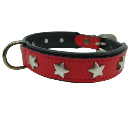 Rotes Hundehalsband mit Sternen